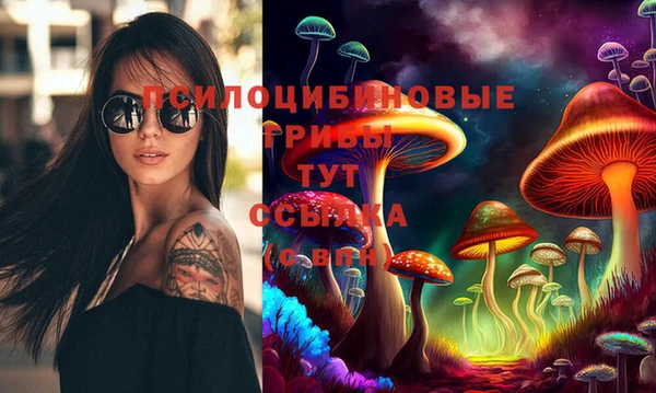 первитин Богородицк