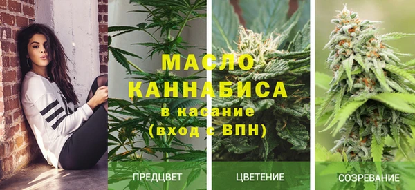 спайс Богданович
