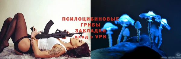 дурь Богородск