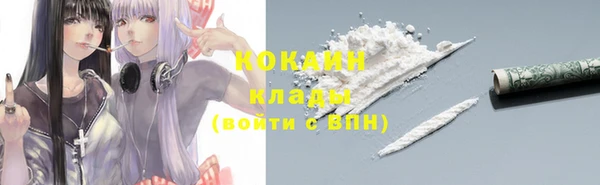 спайс Богданович