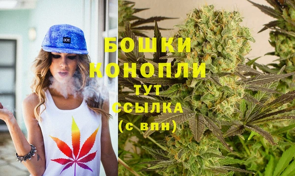 спайс Богданович