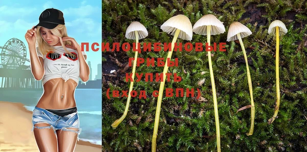 дурь Богородск