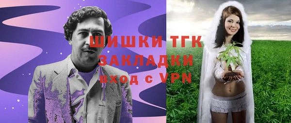 спайс Богданович