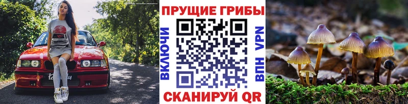 как найти закладки  Тамбов  Галлюциногенные грибы прущие грибы 